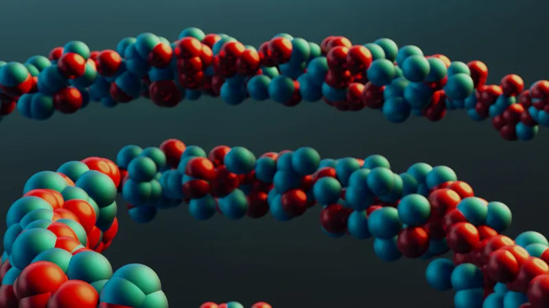 The Missing Molecule: How Adenine Gets Shortchanged in American Biology Classrooms