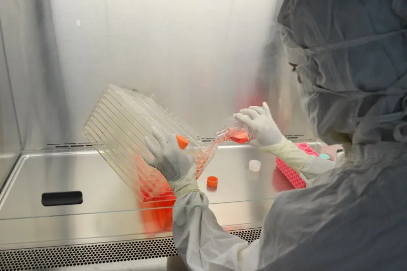 Precision Under Pressure: How Scientists Are Eliminating Off-Target Effects in Next-Generation Base Editing